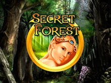 Secret Forest